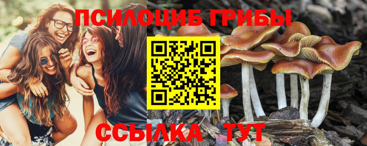 Псилоцибиновые грибы GOLDEN TEACHER Мариинск