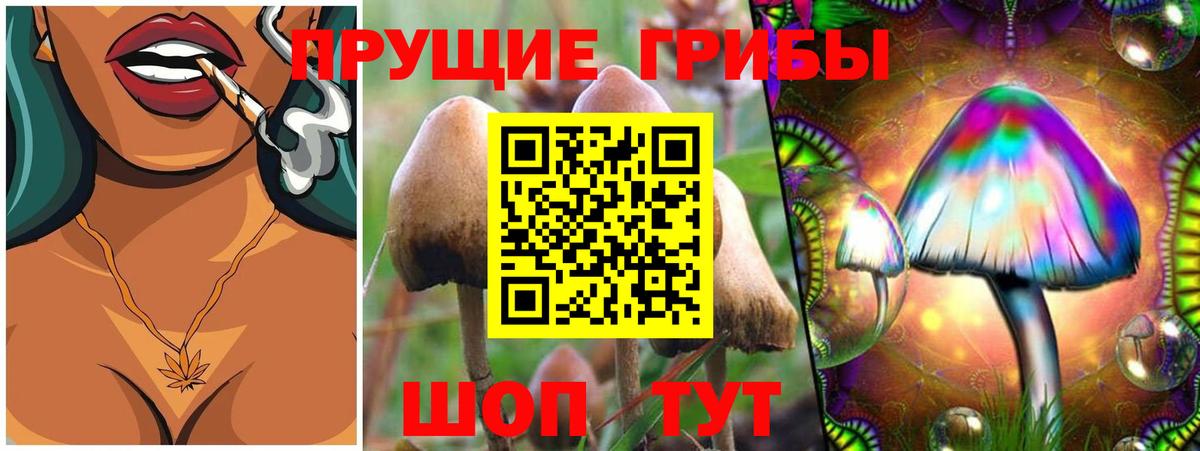 Галлюциногенные грибы Psilocybine cubensis  Вход с VPN  купить наркотик  Мариинск 
